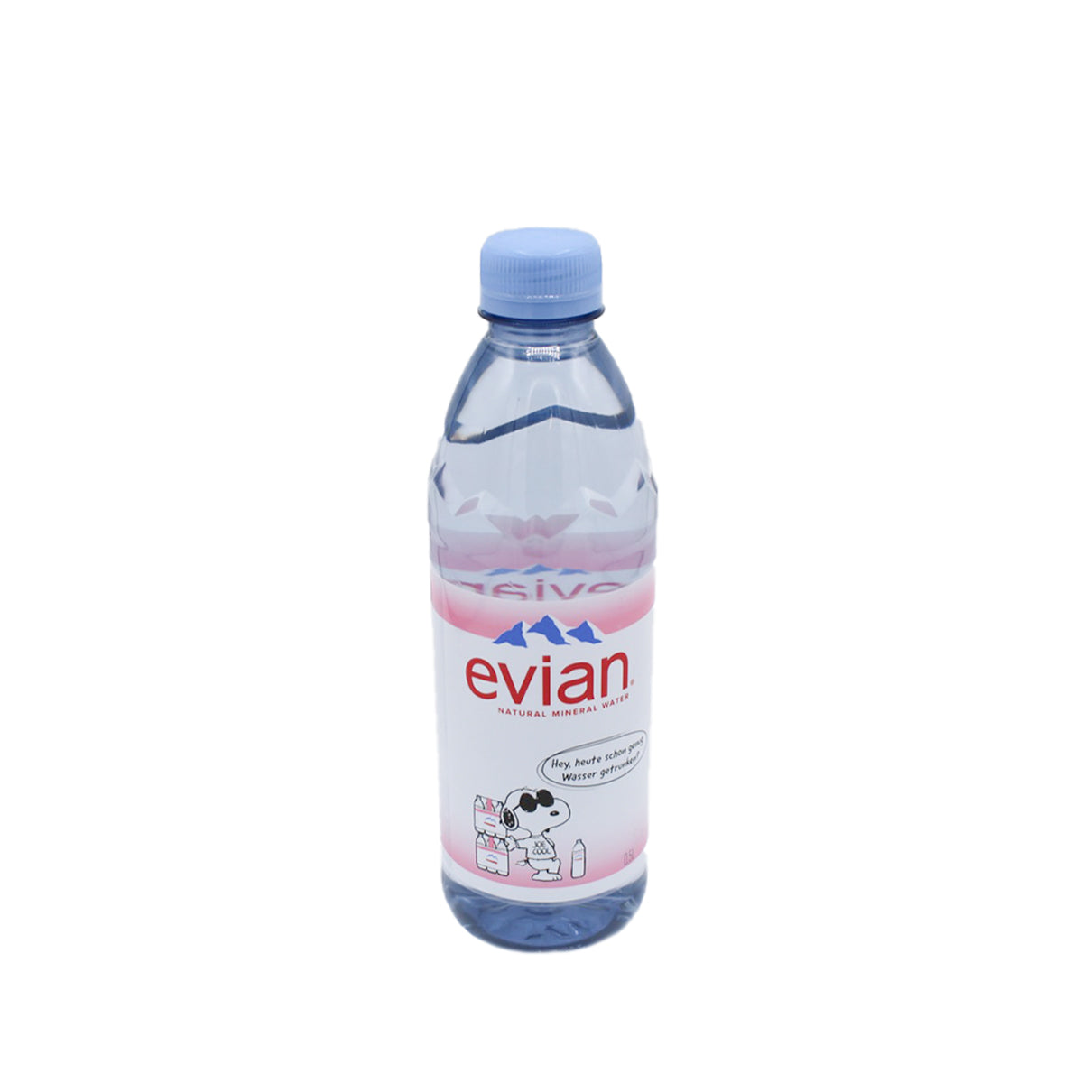Evian Wasser 0,5l